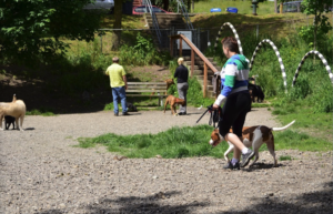 Blue Dog Pond in Beacon Hill, Seattle